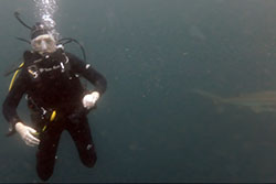 julie with shark in distance